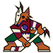 Arizona Coyotes