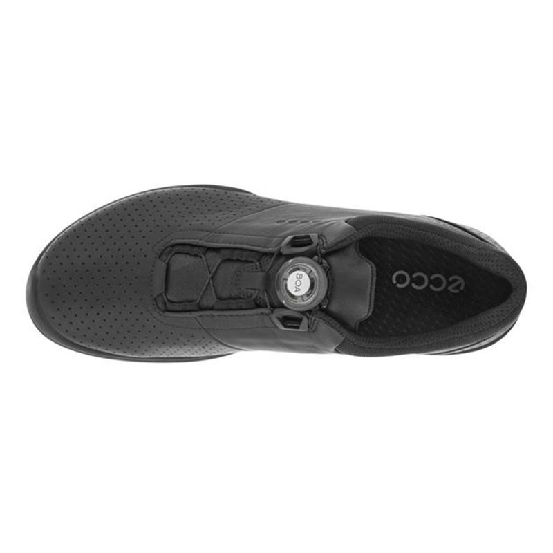 Ecco biom 2024 3 boa