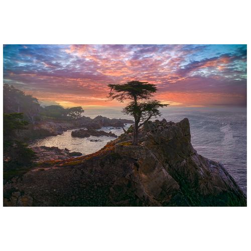 Channing Benjamin The Lone Cypress Sunrise Photo Art