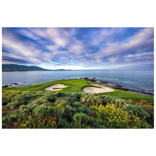Channing Benjamin Pebble Beach 7 Bloom Photo Art