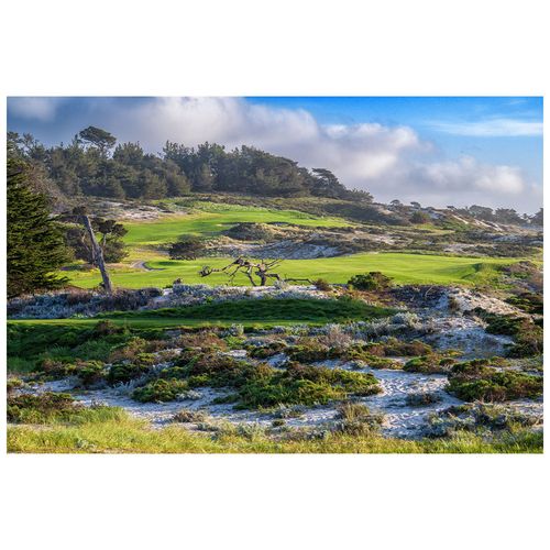 Channing Benjamin Spyglass Hill Dunes Photo Art