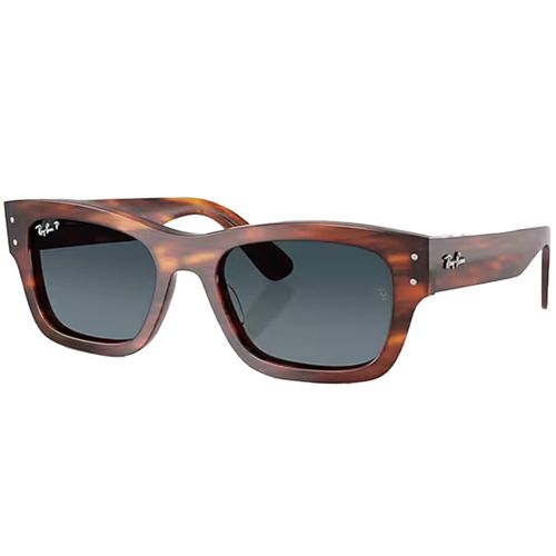 Ray-Ban Jospeh Sunglasses