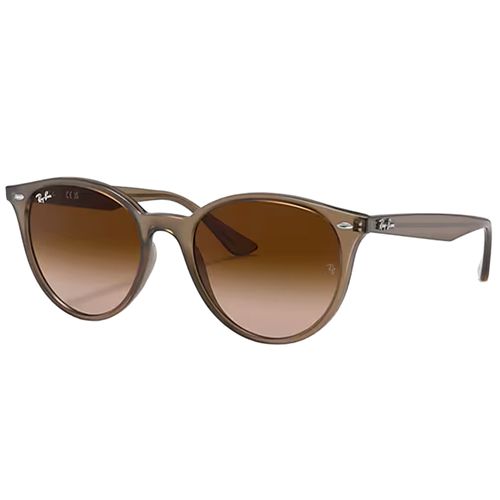 Ray-Ban Men's RB4305 Sunglasses