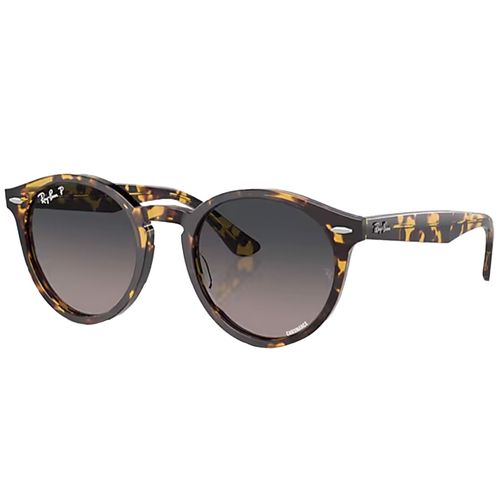 Ray-Ban Larry Sunglasses