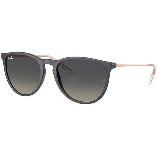Ray-Ban Women's Erika Sunglasses