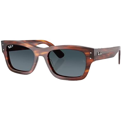 Ray-Ban Jospeh Sunglasses