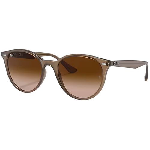 Ray-Ban Men's RB4305 Sunglasses