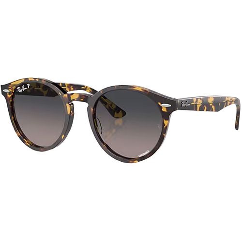 Ray-Ban Larry Sunglasses