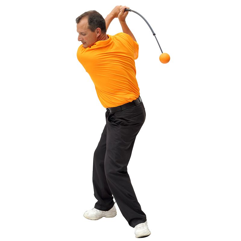 Orange Whip Trainer - Thumbnail 4