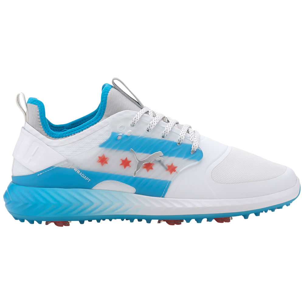 puma caged