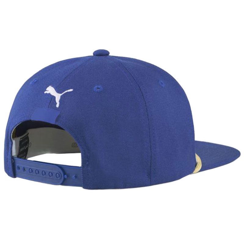 Puma best sale snapback hats