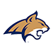 Montana State University Bobcats
