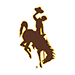 Wyoming Cowboys