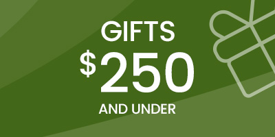 Gifts Under $250