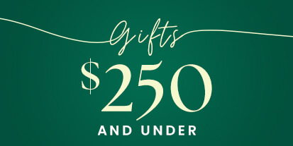 Gifts under $250
