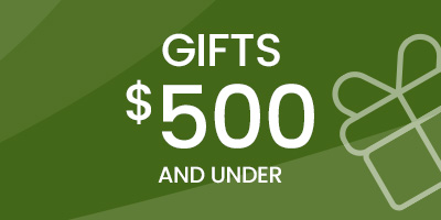 Gifts Under $500